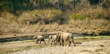 Heart-warming 2 Days India Mountain Trip Package