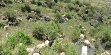 Beautiful 2 Days 1 Night Kullu Hill Stations Vacation Package