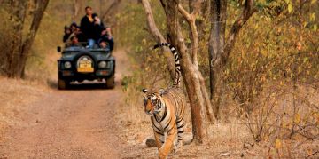 Ecstatic 2 Days Ranthambore Heritage Tour Vacation Package