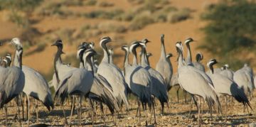 Amazing 2 Days Rajasthan Beach Trip Package