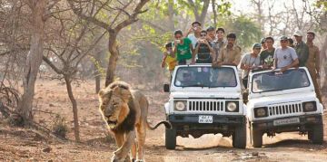 Best 2 Days Gujarat, India to Gujarat Nature Tour Package
