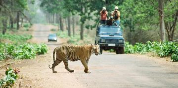 Magical 2 Days Tadoba Beach Holiday Package