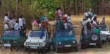 Beautiful 2 Days 1 Night Bandhavgarh Wildlife Holiday Package