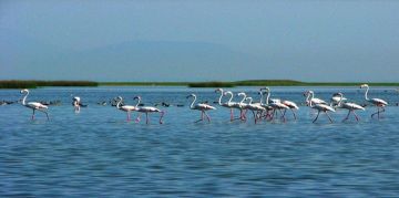 Family Getaway 2 Days Bhubaneswar to Bhubhaneshwar Vacation Package