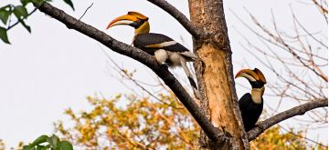 2 Days 1 Night Arunachal Pradesh Romance Vacation Package