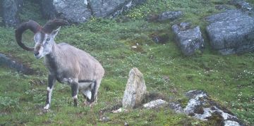 Best 2 Days 1 Night Khanghendzonga Trip Package