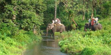 Ecstatic 2 Days 1 Night Periyar Culture Heritage Vacation Package