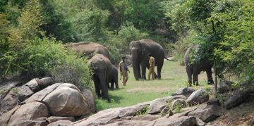 Pleasurable 2 Days Bangalore Honeymoon Vacation Package by Supreme Travelers