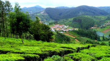 Magical 2 Days 1 Night Ooty Honeymoon Trip Package