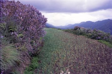 Beautiful 3 Days 2 Nights Munnar Nature Trip Package