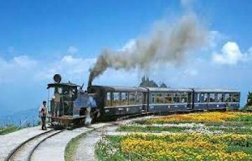 Best 7 Days Sikkim, India to Darjeeling Wildlife Trip Package