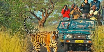 Heart-warming 9 Days 8 Nights Madhya Pradesh Romantic Trip Package