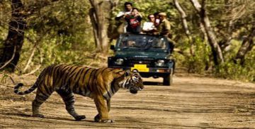 Magical 3 Days Jim Corbett Religious Trip Package