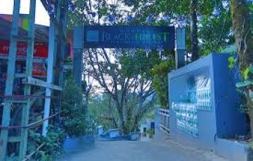 Pleasurable Cochin Honeymoon Tour Package for 8 Days 7 Nights from Mumbai