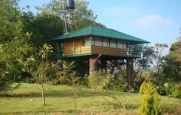 Pleasurable Cochin Honeymoon Tour Package for 8 Days 7 Nights from Mumbai