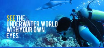 Best 7 Days 6 Nights NEIL ISLAND Romantic Tour Package