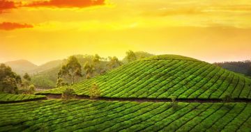 4 Days 3 Nights Kochi to Kumarakom Honeymoon Holiday Package