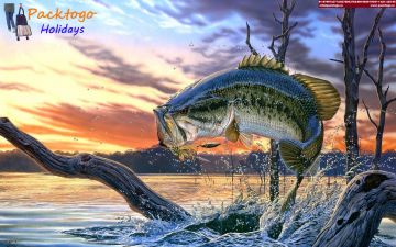 Memorable 3 Days Goa, India to North Goa Luxury Trip Package