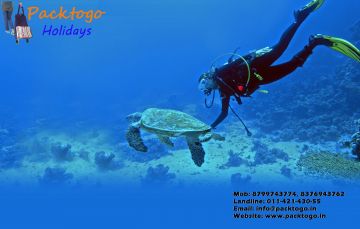 Memorable 3 Days Goa, India to North Goa Luxury Trip Package