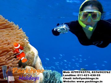 Memorable 3 Days Goa, India to North Goa Luxury Trip Package