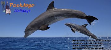 Memorable 3 Days Goa, India to North Goa Luxury Trip Package