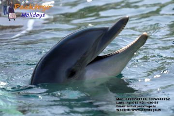 Memorable 3 Days Goa, India to North Goa Luxury Trip Package