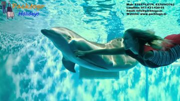 Memorable 3 Days Goa, India to North Goa Luxury Trip Package