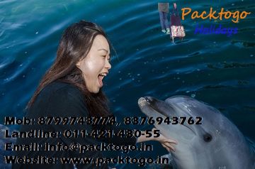 Memorable 3 Days Goa, India to North Goa Luxury Trip Package