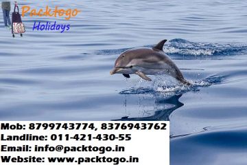 Memorable 3 Days Goa, India to North Goa Luxury Trip Package