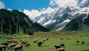 Memorable 5 Days Delhi Hill Stations Tour Package