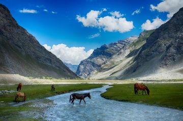 Beautiful Nubra Tour Package for 5 Days from Leh