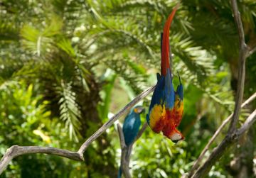 Heart-warming 5 Days Delhi to Bali Vacation Package