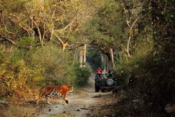 5 Days 4 Nights Delhi to Jim Corbett Forest Vacation Package