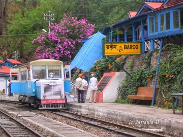 Family Getaway 3 Days Shimla Nature Tour Package