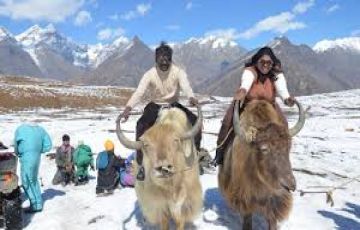 Heart-warming 8 Days Himachal Pradesh Snow Tour Package