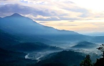 Heart-warming 4 Days Munnar Wildlife Trip Package