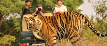 5 Days 4 Nights Corbett Family Tour Package