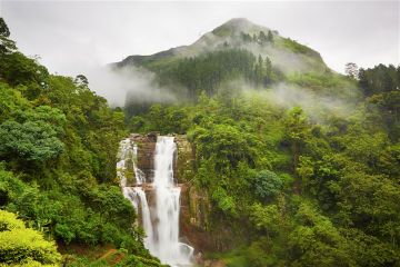 4 Days Colombo and Nuwara Eliya Forest Tour Package