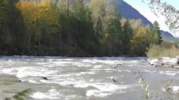 Experience 9 Days KASARDEVI Uttrakhand Tour Package