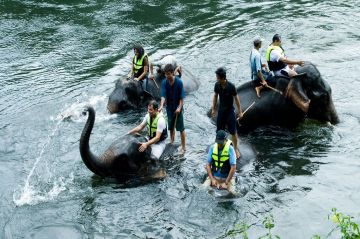 Heart-warming 4 Days Jim Corbett Hill Stations Holiday Package