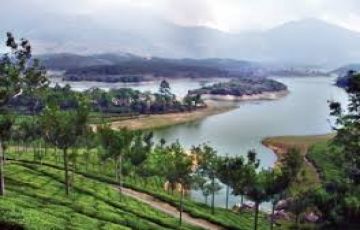 Amazing 7 Days 6 Nights Munnar Cochin Athirapally Thekkady Alleppey Kovalam Trivandrum Forest Trip Package