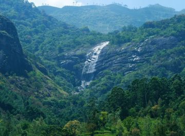 Amazing 7 Days 6 Nights Munnar Cochin Athirapally Thekkady Alleppey Kovalam Trivandrum Forest Trip Package