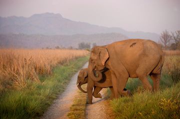 Memorable 5 Days 4 Nights Mussoorie Honeymoon Vacation Package