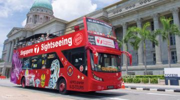 4 Days 3 Nights Singapore to Singapore Gardens And Green Fields Nature Tour Package