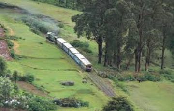 Ecstatic 5 Days Bengaluru to Bangalore Ooty Waynad Family Tour Package