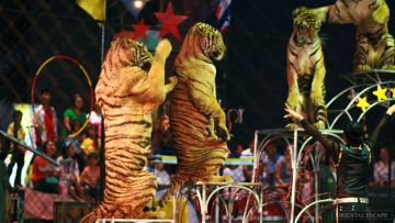 Experience 4 Days 3 Nights Bangkok Vacation Package