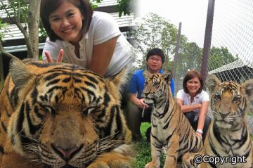 Experience 4 Days 3 Nights Bangkok Vacation Package