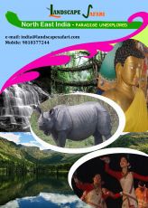 Magical CHERRAPUNJEE Nature Tour Package for 7 Days 6 Nights