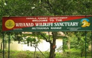 Amazing Waynad Nagarhole Nature Tour Package for 3 Days