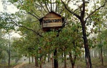 Amazing Waynad Nagarhole Nature Tour Package for 3 Days